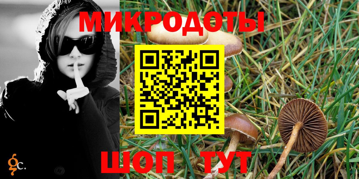 Галлюциногенные грибы Psilocybine cubensis Шелехов