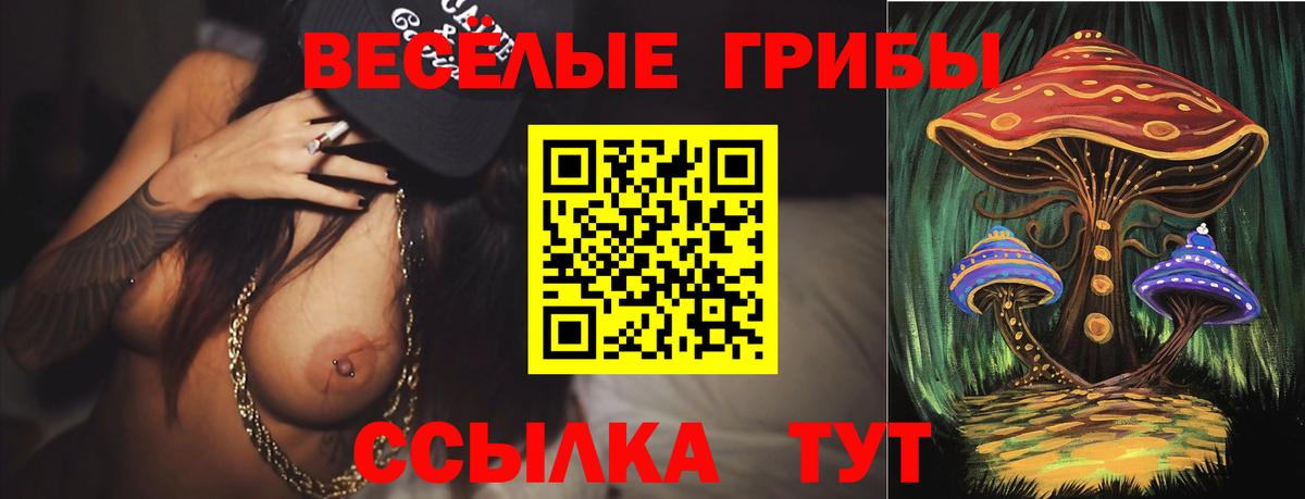 Псилоцибиновые грибы ЛСД  Вход с VPN  Псилоцибиновые грибы ЛСД  Шелехов 