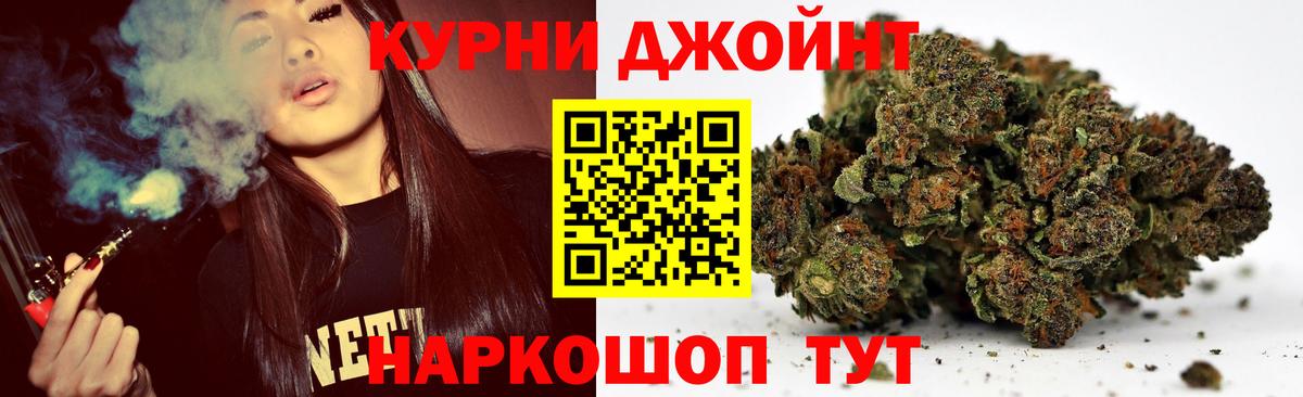 Конопля сатива Шелехов